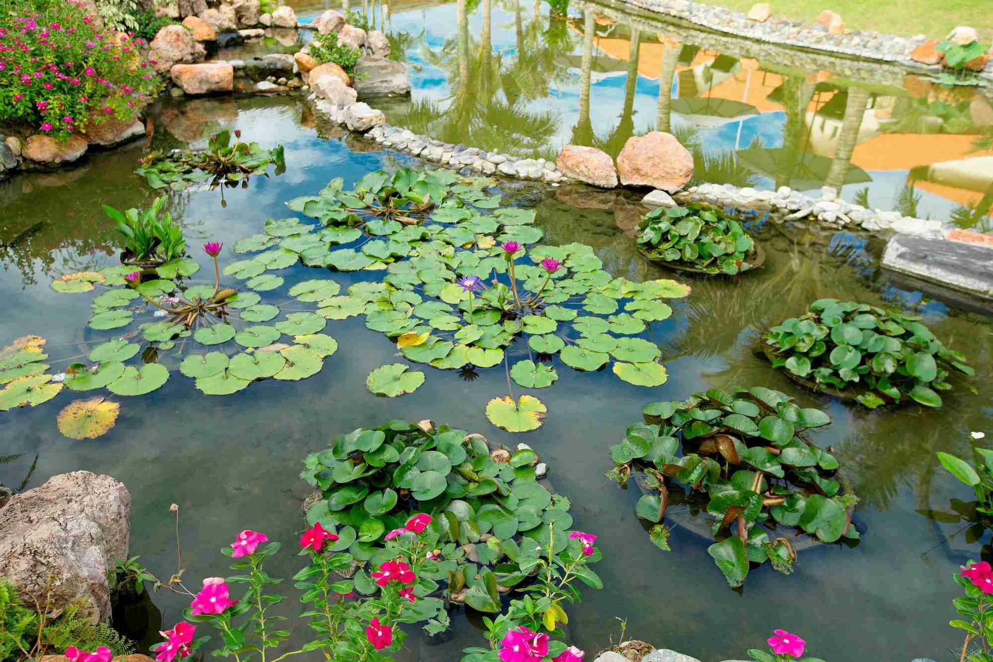Blue Bay Mui Ne Resort & Spa Phan Thiet Eksteriør bilde